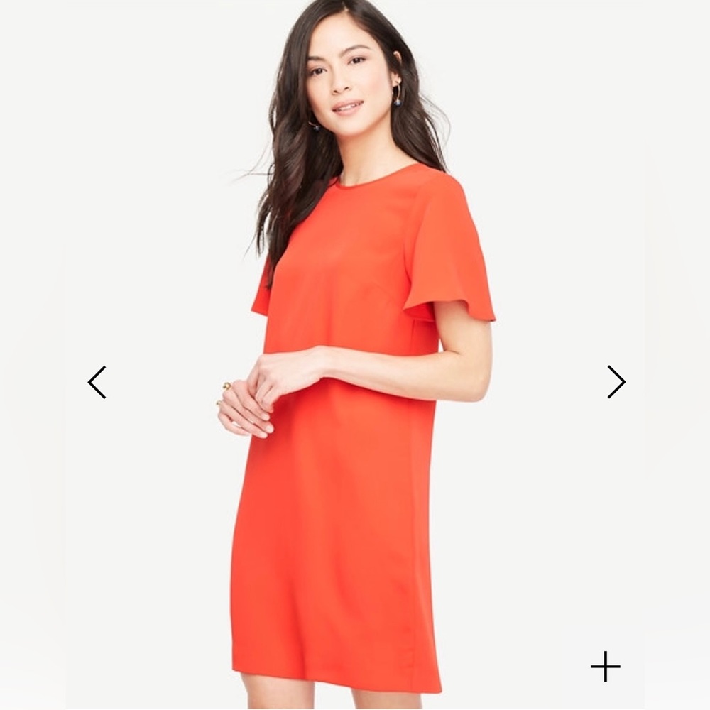 Ann Taylor Ruffle Sleeve Shift Dress | Size 6 | Red/Orange